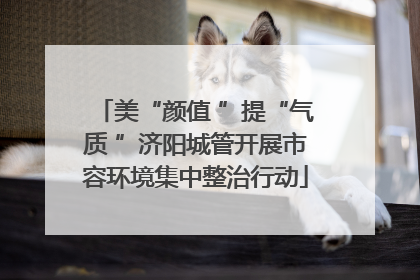 美“颜值 ”提“气质 ”济阳城管开展市容环境集中整治行动