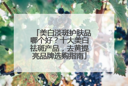 美白淡斑护肤品哪个好？十大美白祛斑产品，去黄提亮品牌选购指南
