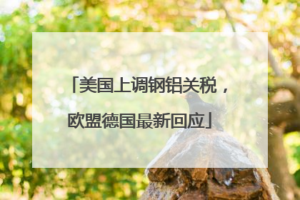 美国上调钢铝关税，欧盟德国最新回应
