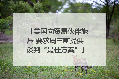 美国向贸易伙伴施压 要求周三前提供谈判“最佳方案”