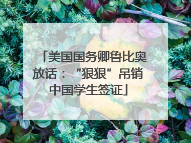 美国国务卿鲁比奥放话：“狠狠”吊销中国学生签证