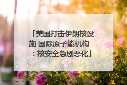 美国打击伊朗核设施 国际原子能机构：核安全急剧恶化