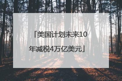 美国计划未来10年减税4万亿美元