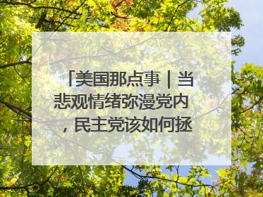 美国那点事｜当悲观情绪弥漫党内，民主党该如何拯救自己？