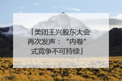 美团王兴股东大会再次发声：“内卷”式竞争不可持续
