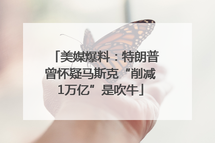 美媒爆料：特朗普曾怀疑马斯克“削减1万亿”是吹牛