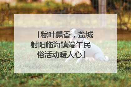 粽叶飘香，盐城射阳临海镇端午民俗活动暖人心