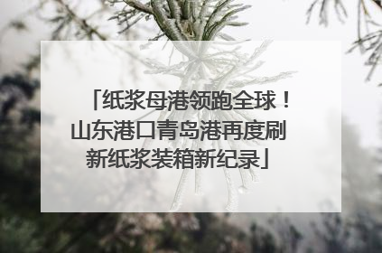 纸浆母港领跑全球！山东港口青岛港再度刷新纸浆装箱新纪录