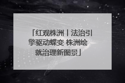 红观株洲丨法治引擎驱动蝶变 株洲绘就治理新图景