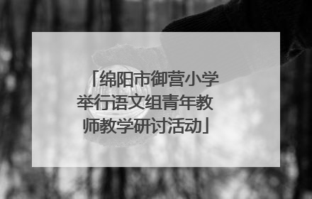绵阳市御营小学举行语文组青年教师教学研讨活动