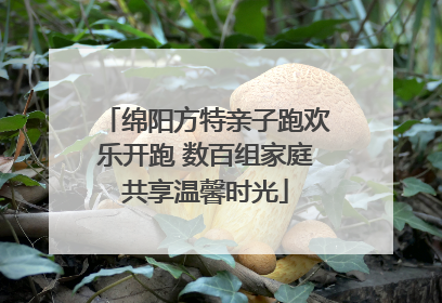 绵阳方特亲子跑欢乐开跑 数百组家庭共享温馨时光