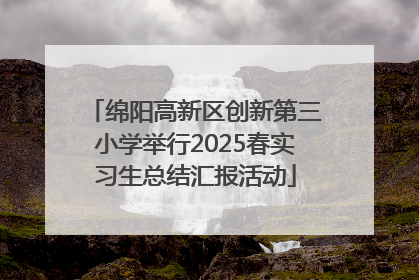 绵阳高新区创新第三小学举行2025春实习生总结汇报活动