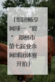 组团畅享网球一“夏” 郑州市第七届业余网球团体赛开拍