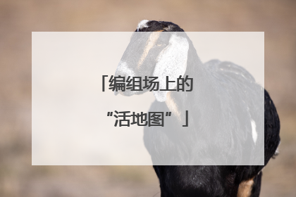 编组场上的“活地图”