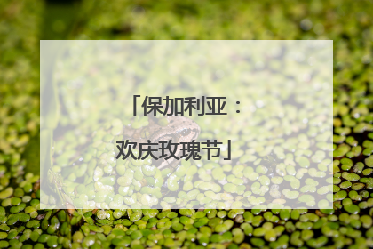 保加利亚：欢庆玫瑰节