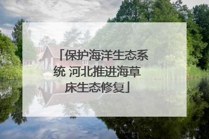 保护海洋生态系统 河北推进海草床生态修复