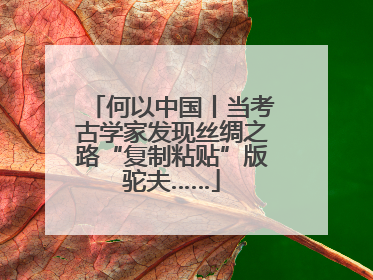 何以中国丨当考古学家发现丝绸之路“复制粘贴”版驼夫……