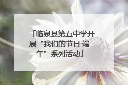 临泉县第五中学开展“我们的节日·端午”系列活动