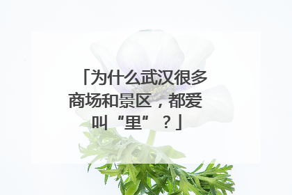 为什么武汉很多商场和景区，都爱叫“里”？