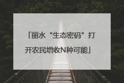 丽水“生态密码”打开农民增收N种可能