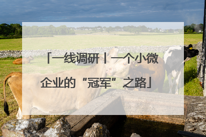 一线调研丨一个小微企业的“冠军”之路