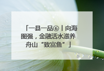 一县一品⑥丨向海图强，金融活水滋养舟山“致富鱼”