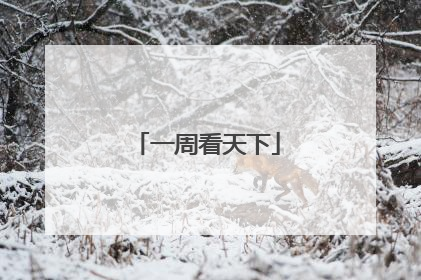 一周看天下