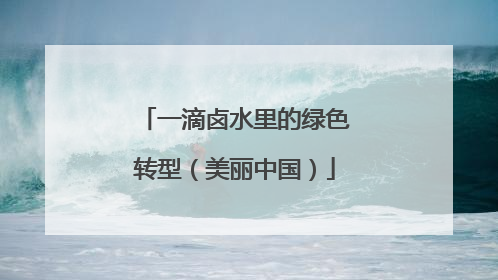 一滴卤水里的绿色转型（美丽中国）