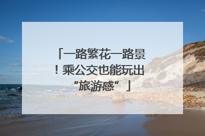 一路繁花一路景！乘公交也能玩出“旅游感”