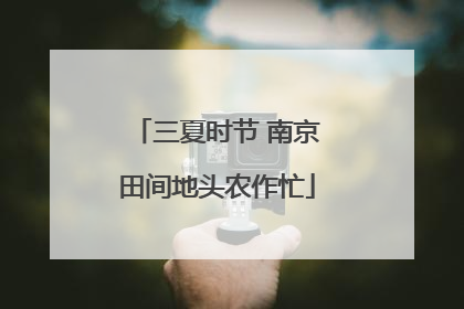 三夏时节 南京田间地头农作忙