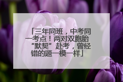 三年同班，中考同一考点！两对双胞胎“默契”赴考，曾经错的题一模一样