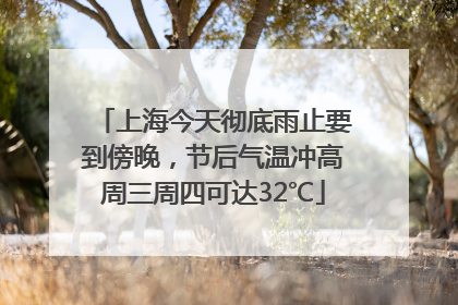 上海今天彻底雨止要到傍晚，节后气温冲高周三周四可达32℃