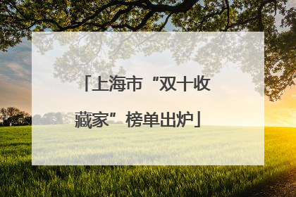上海市“双十收藏家”榜单出炉