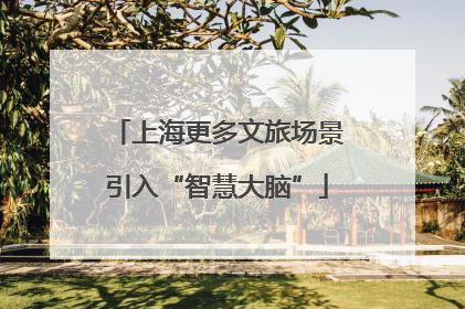 上海更多文旅场景引入“智慧大脑”