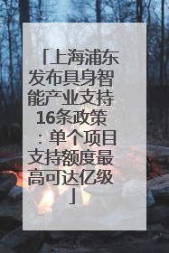 上海浦东发布具身智能产业支持16条政策：单个项目支持额度最高可达亿级