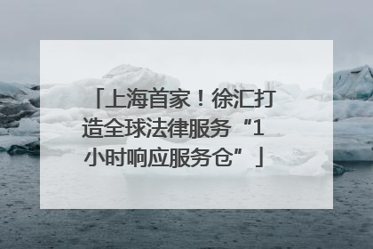 上海首家！徐汇打造全球法律服务“1小时响应服务仓”