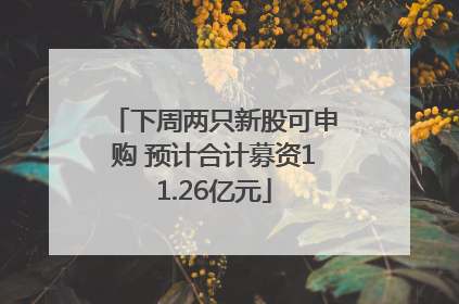 下周两只新股可申购 预计合计募资11.26亿元