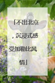 不出北京，沉浸式感受加勒比风情
