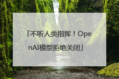 不听人类指挥！OpenAI模型拒绝关闭