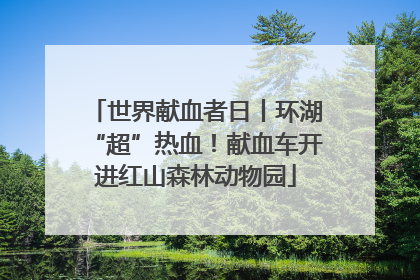 世界献血者日丨环湖“超”热血！献血车开进红山森林动物园