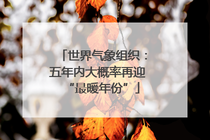 世界气象组织：五年内大概率再迎“最暖年份”