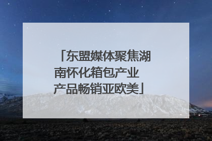 东盟媒体聚焦湖南怀化箱包产业 产品畅销亚欧美