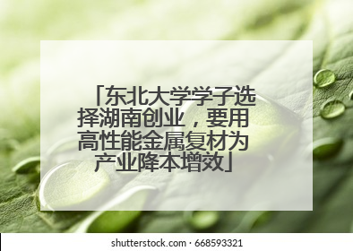 东北大学学子选择湖南创业，要用高性能金属复材为产业降本增效