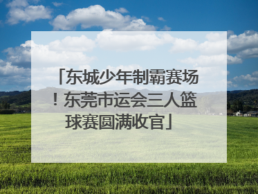 东城少年制霸赛场！东莞市运会三人篮球赛圆满收官