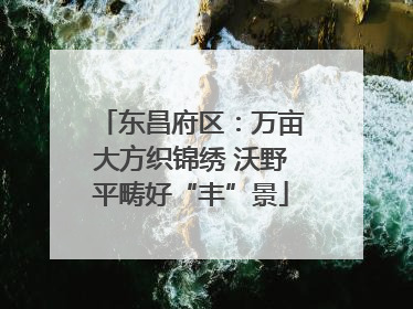 东昌府区：万亩大方织锦绣 沃野平畴好“丰”景