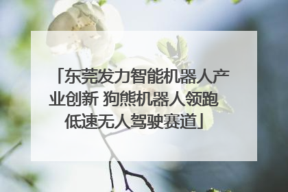 东莞发力智能机器人产业创新 狗熊机器人领跑低速无人驾驶赛道