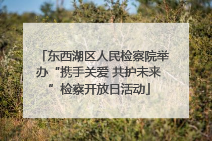东西湖区人民检察院举办“携手关爱 共护未来”检察开放日活动