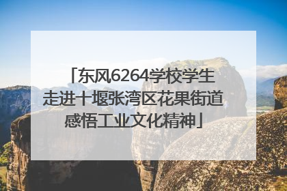 东风6264学校学生走进十堰张湾区花果街道感悟工业文化精神