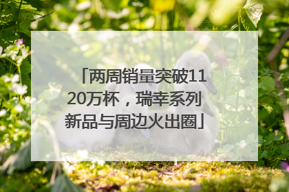 两周销量突破1120万杯，瑞幸系列新品与周边火出圈