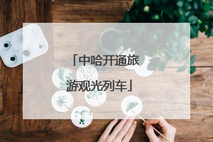 中哈开通旅游观光列车